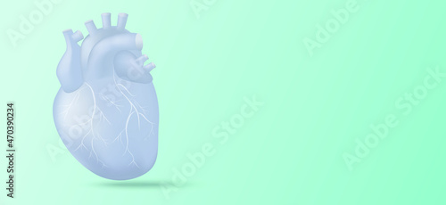Human heart with vessels illustration on mint background