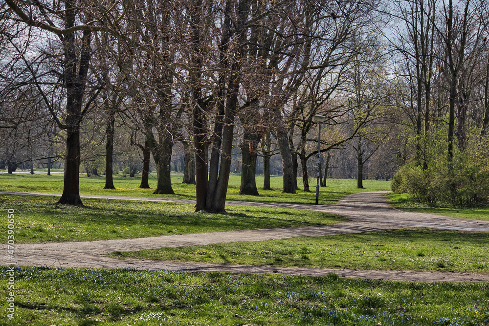 Baum, Wiese und Weg im Park Palmengarten Leipzig, Sachsen Baum, Wiese und Weg im Park Palmengarten Leipzig, Sachsen