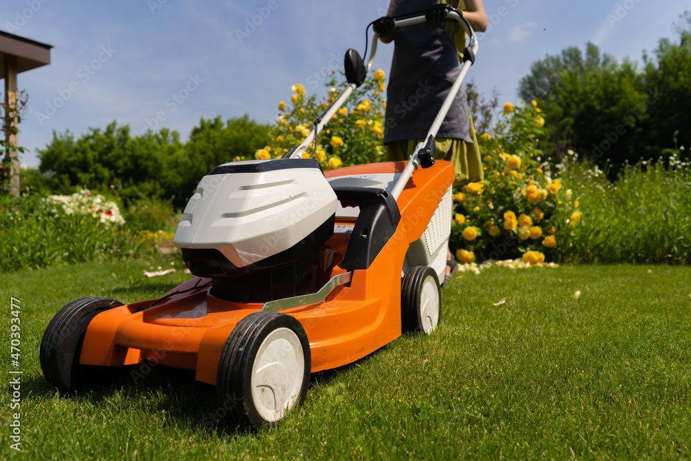 Fototapeta premium A woman gardener is trimming grass with the grass cutter, bottom view