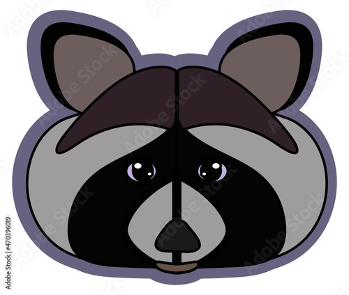 Head and muzzle of a raccoon