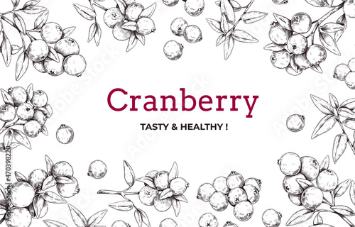 Cranberry framing. Hand drawn background of cowberry engraving sketch for restaurant sweet berry dessert. Horizontal botanical frame circle form, vector outline cranberry illustration