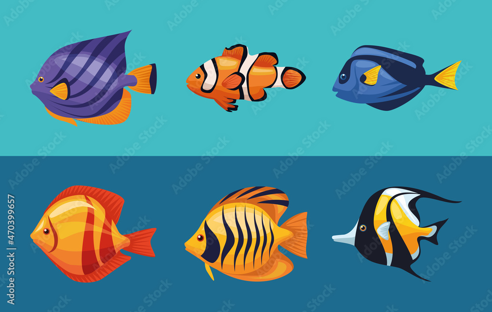 Fototapeta premium six sealife underwater icons