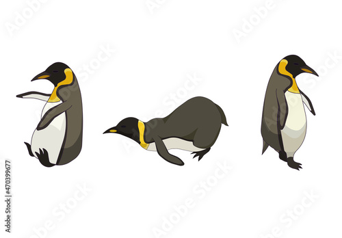 Set of Emperor penguins in Cartoon style, dynamic and poses of Aquatic flightless birds or King penguin on white isolated background, concept of Pole bird and Antarctic Wildlife, Nature, Ornithology.