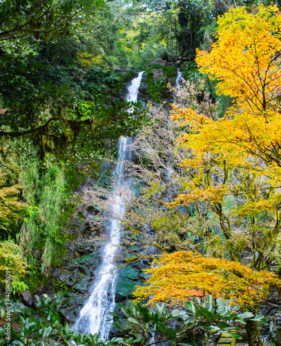 自然あふれる森林と紅葉の中の滝