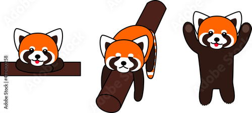 レッサーパンダが立つ・寝る・まったりのセット