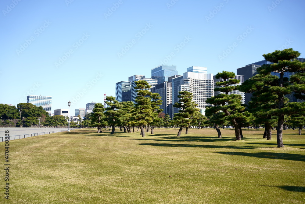 Skyscrapers from Imperial Palace Garden in Tokyo