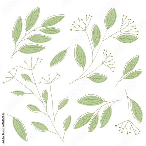A set of hand-drawn branches and leaves. Elements for creating plant patterns. Collection of green leaves  seeds  branches in simple sketching style.