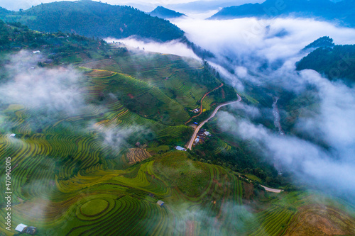 field, agriculture, rice, grass, nature, plant, landscape, farm, asia, spring, rural, tea, paddy, summer, leaf, food, garden,  hill, plantation, green, lawn, yellow, mu cang chai, yen bai photo