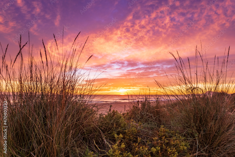 Fototapeta premium Amanecer en las dunas de la playa de Gandia. Valencia