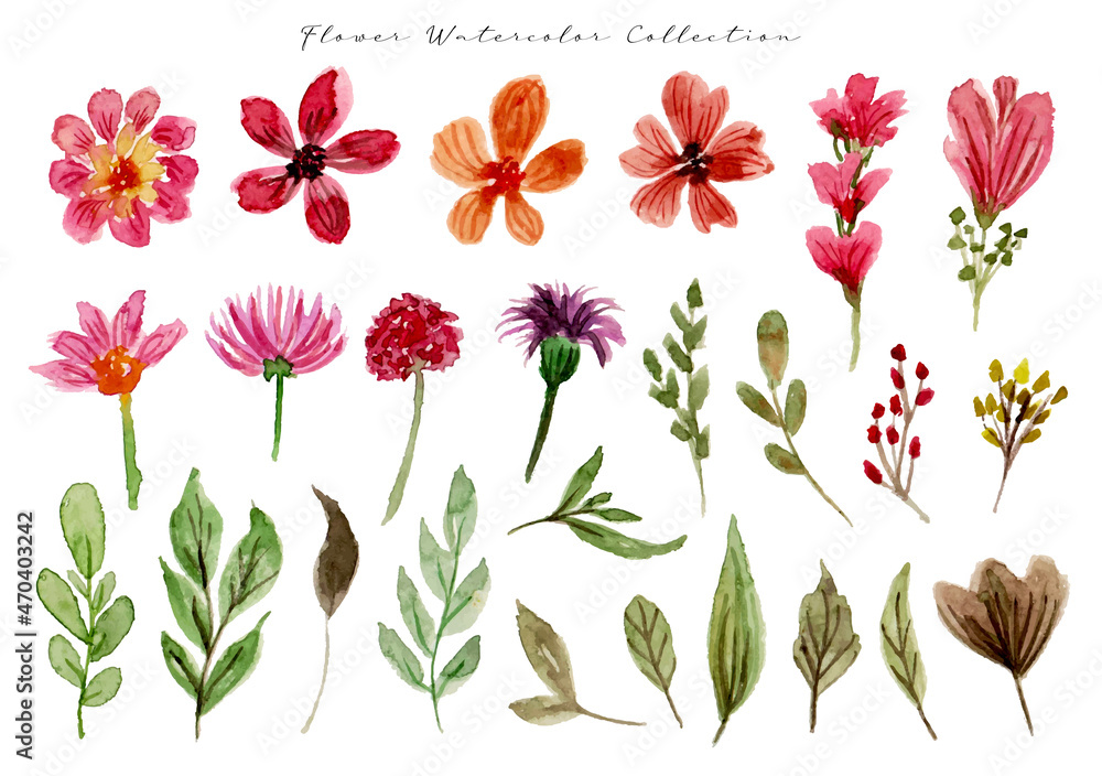 Fototapeta premium a set of beautiful flower watercolor
