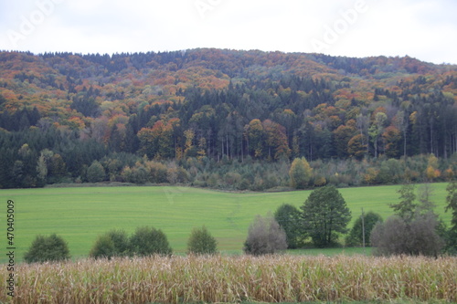 Landschaften und Wälder auf der Schwäbischen Alb