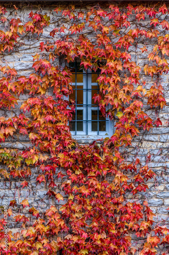 view of traditional architecture  withba window of a stone building covered with red leaves during  fall season in the picturesque village of papigo , zagori Greece