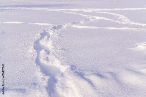 Traces in snow © Hanna Alandi