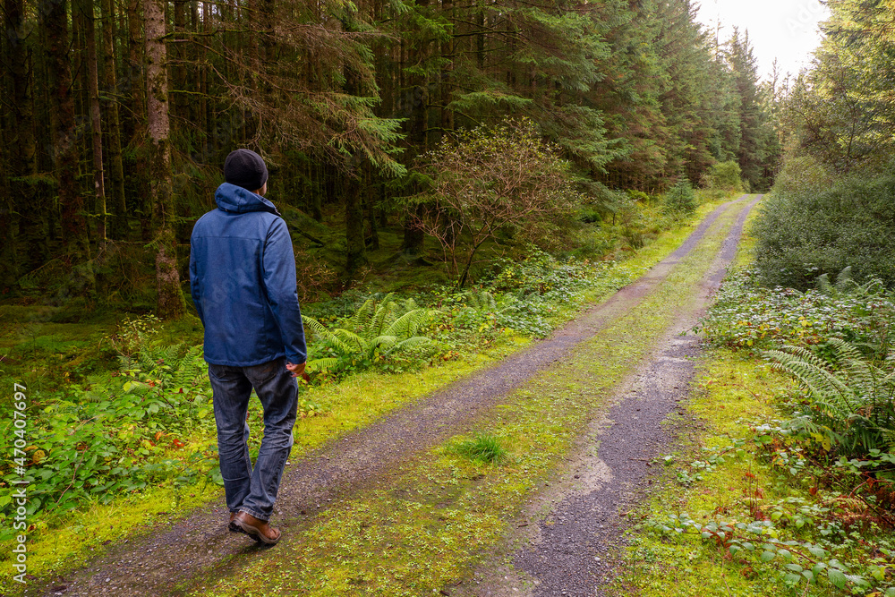 Fototapeta premium Man walking on a small road in a forest. Fresh air and healthy habit concept. Man dressed in blue jacket and jeans and black hat. Outdoor activity concept.