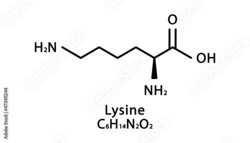 Lysine molecular structure. Lysine skeletal chemical formula. Chemical molecular formula vector illustration