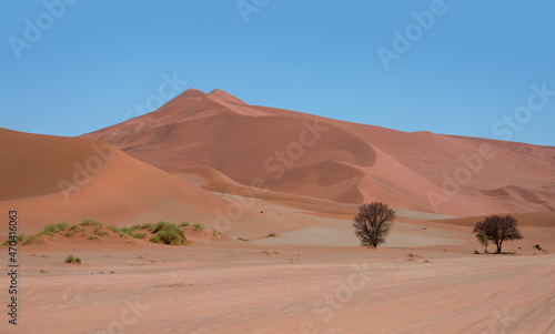 Fototapeta Naklejka Na Ścianę i Meble -  Orange big sand dune with blue sky - Sossusvlei, Namib desert, Namibia, Southern Africa
