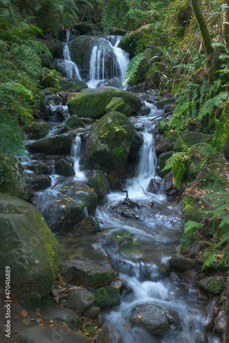 Fototapeta Naklejka Na Ścianę i Meble -  Waterfall at Fraga do Eume, Galicia, Spain