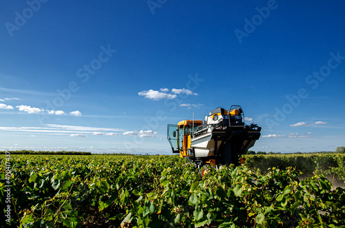Tableau sur toile A mechanical grape harvesting machine in a vineyard.