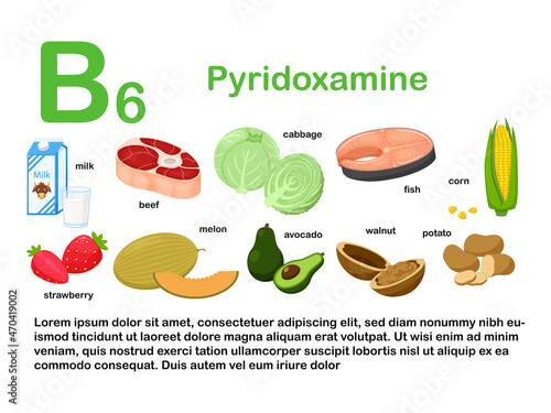 Rectangular poster with food products containing vitamin B6. Pyridoxamine. Medicine, diet, healthy eating, infographics. Products with the name.Flat cartoon food illustration isolated on white.