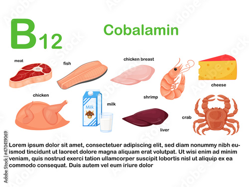 Rectangular poster with food products containing vitamin B12. Cobalamin. Medicine, diet, healthy eating, infographics. Products with name.Flat cartoon food illustration isolated on a white background.