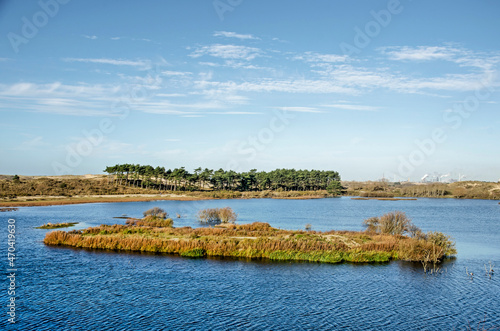 Small island in a lake in the dunes of Zuid-Kennemerland national park near Haarlem, The Netherlands, with the steelworks of IJmuiden in the distance photo