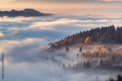 Fototapeta Naklejka Na Ścianę i Meble -  Misty autumn mountains landscape in the morning, Poland, Beskidy mountains