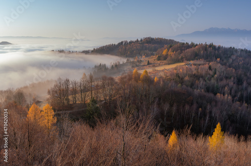 Fototapeta Naklejka Na Ścianę i Meble -  Misty autumn mountains landscape in the morning, Poland, Beskidy mountains and Tatra mountains in the background