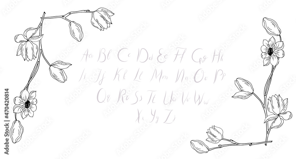 Frame, frames from plants, branches, leaves. Place for text, banner, border. Vector illustration.