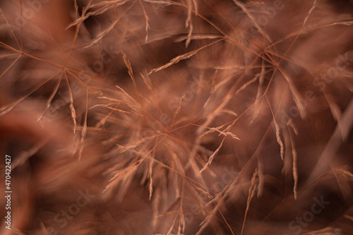 nature of steppes and rivers late autumn