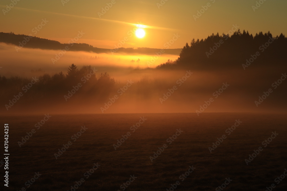 sun rays in foggy morning
