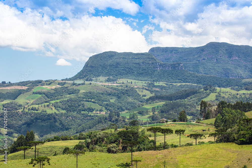 Rural landscape in southern Brazil.