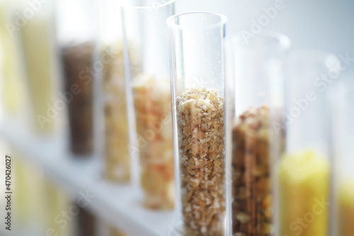 Research Analyzing Agricultural Grains And seeds In The Laboratory. Test tubes with seeds of selection plants.
