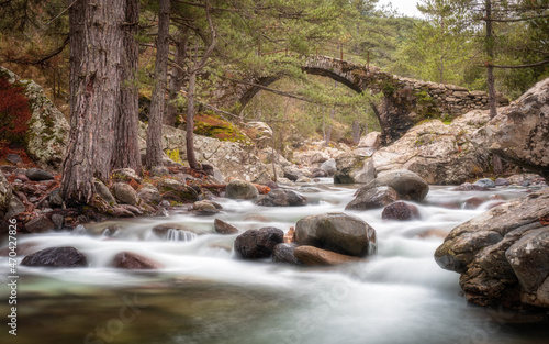 Ancient Genoese bridge over the clear waters of La Tartagine river in the Balagne region of Corsica photo