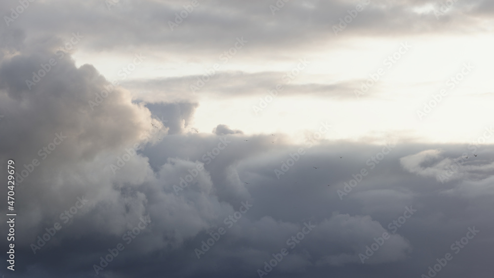 Slow motion birds flying in front of cloudscape with sunset light Slow motion birds flying in front of cloudscape with sunset light