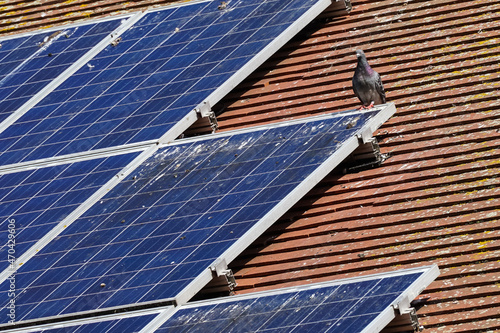 Solar panels on the roof of a house covered with pigeon droppings Fotobehang