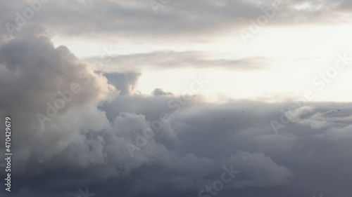 Slow motion birds flying in front of cloudscape with sunset light