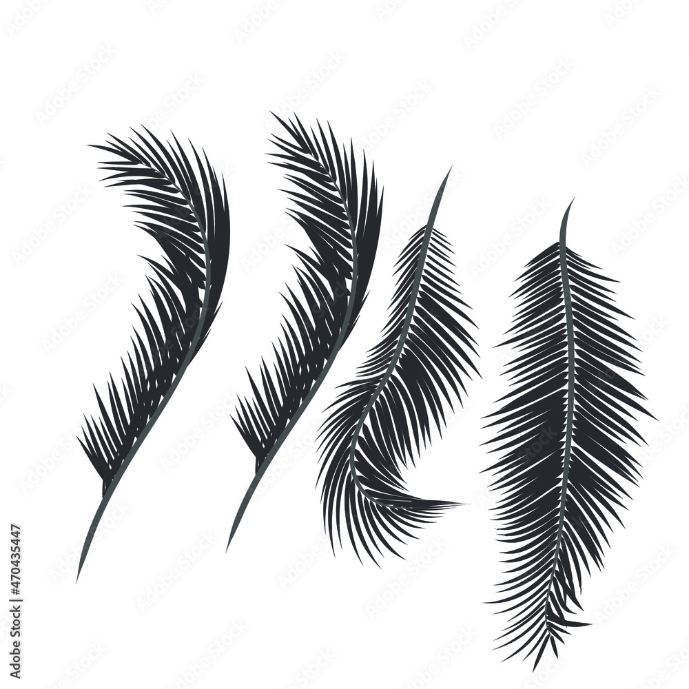 Leaf and coconut tree. Leaf and coconut tree.