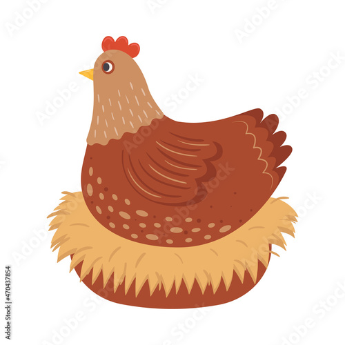 Cute hen sitting on a straw nest flat vector illustration. Domestic chicken brooding eggs. Farm animal isolated on white background