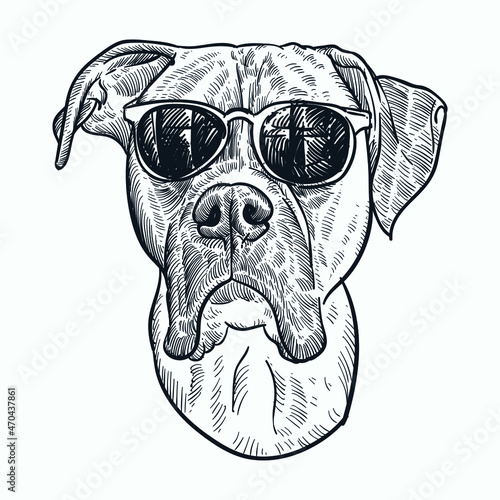 Vintage hand drawn sketch glasses boxer dog