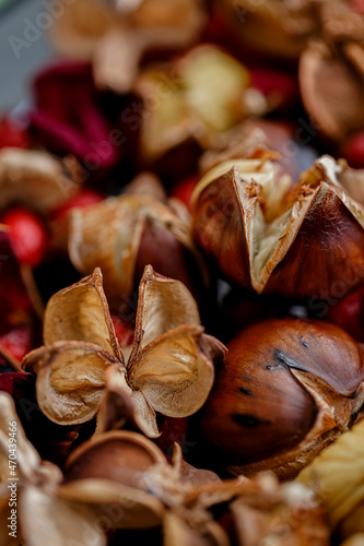 Top view of chestnuts and red dry rose hips. Delicious fresh chestnuts. Shallow depth of field. Toned image.