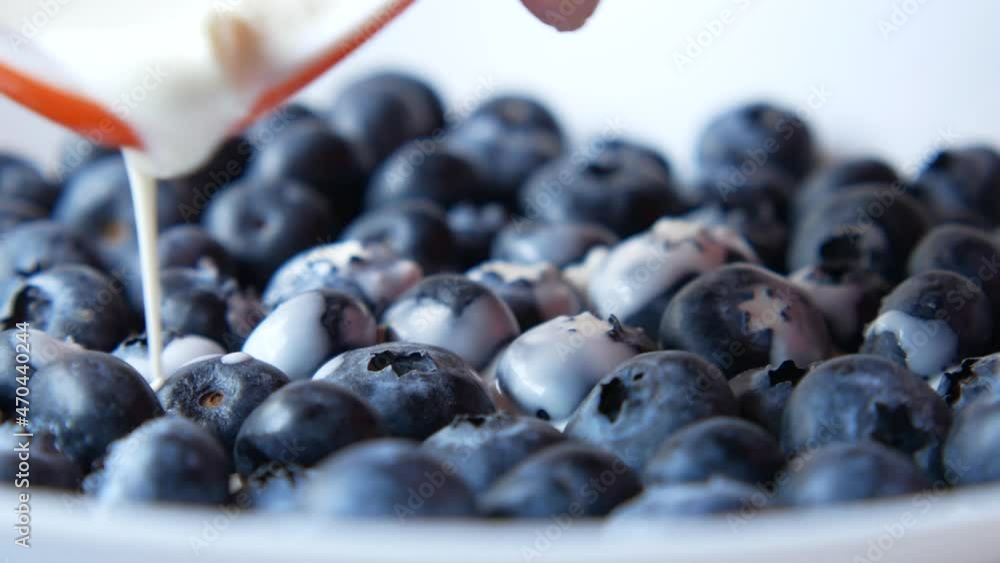 wiped cream on fresh blue berry wiped cream on fresh blue berry