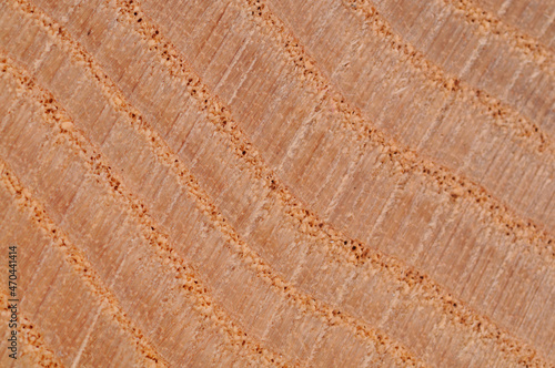 A texture seen in a cut surface of wood.