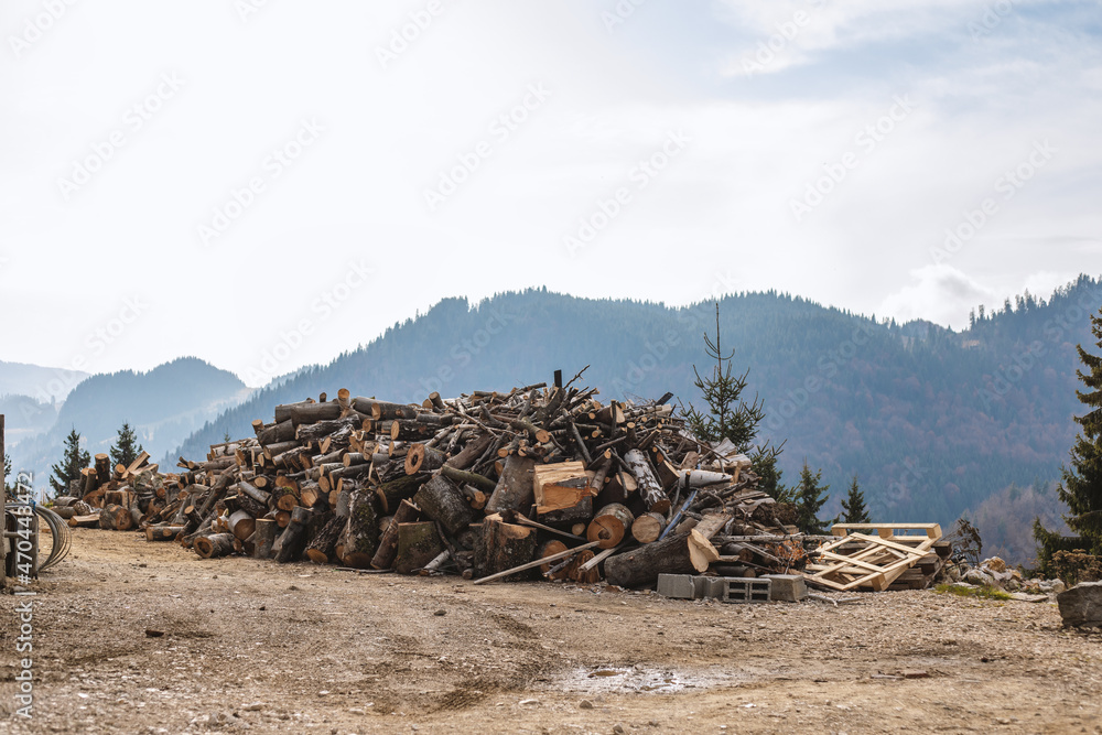 Obraz premium Bunch of wood in the mountains. Breathtaking view