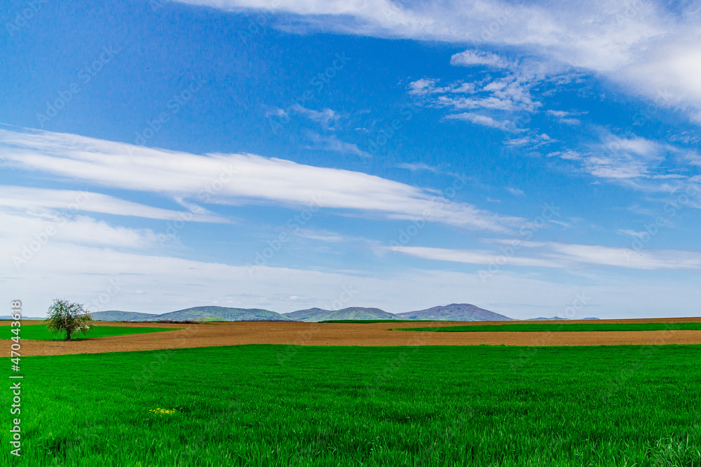 Meadow and arable land with a blue background of sky and mountains Meadow and arable land with a blue background of sky and mountains