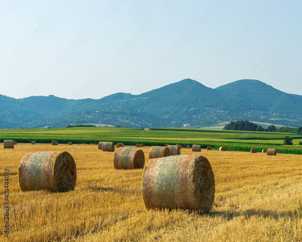 bales of yellowed grass at the foot of the blue mountains