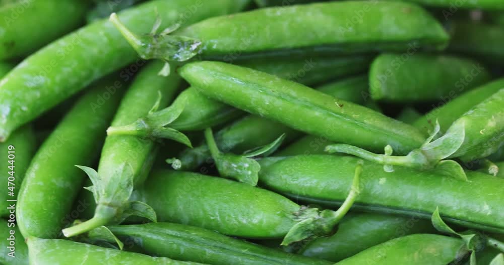 Fresh green peas pods rotation close up. Peas background. Loop motion Fresh green peas pods rotation close up. Peas background. Loop motion