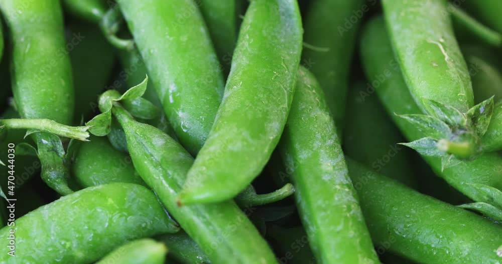 Fresh green peas pods rotation close up. Peas background. Loop motion Fresh green peas pods rotation close up. Peas background. Loop motion