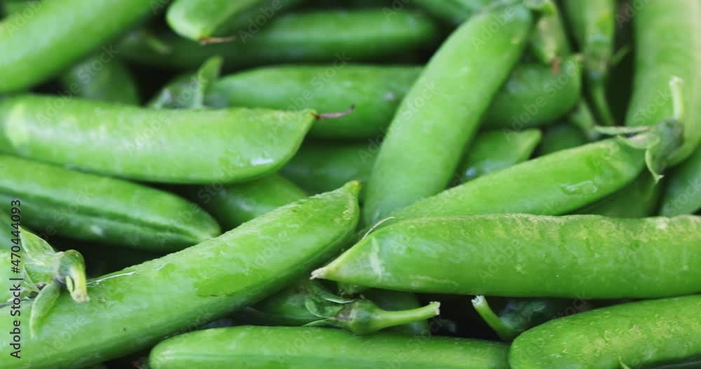 Fresh green peas pods rotation close up. Peas background. Loop motion Fresh green peas pods rotation close up. Peas background. Loop motion