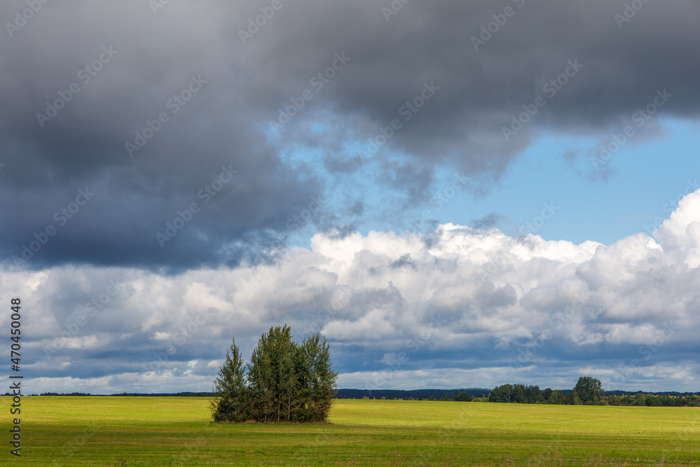 Before a thunderstorm, clouds over a green field with a lonely tree Before a thunderstorm, clouds over a green field with a lonely tree