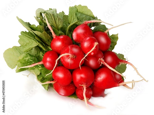 bunch of red radishes isolated